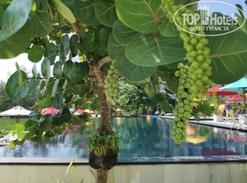 Cassia Phuket 4* - Фото отеля