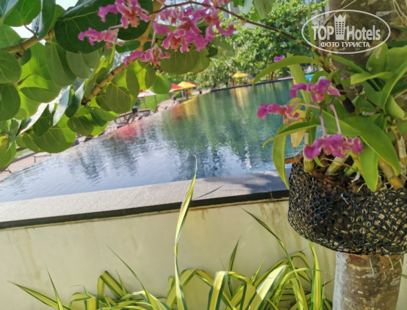 Cassia Phuket 4* - Фото отеля