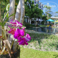 Cassia Phuket 4* - Фото отеля