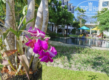 Cassia Phuket 4* - Фото отеля