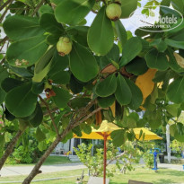 Cassia Phuket 4* - Фото отеля