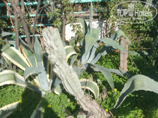 M.C.A. Marquis Hotel 3*