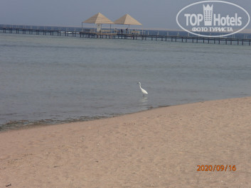 Amwaj Oyoun Resort & Casino 5* - Фото отеля
