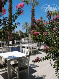 FUN&SUN Miarosa Incekum Beach 5* За забором уже дорога с оживоеннвм движением - Фото отеля