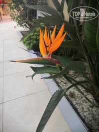 Victory Resort 5* - Фото отеля