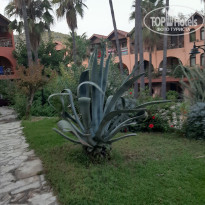 Green Paradise Beach Hotel 4* - Фото отеля