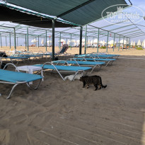 Grand Seker 4* - Фото отеля