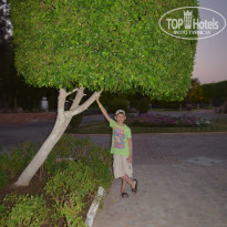 Dreams Vacation Resort Sharm El Sheikh 4* - Фото отеля