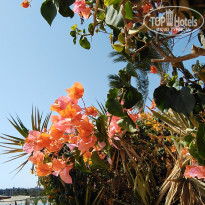 Zahabia Hotel & Beach Resort 4* - Фото отеля