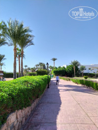 Naama Bay Promenade Beach Resort Managed By Accor 5* - Фото отеля