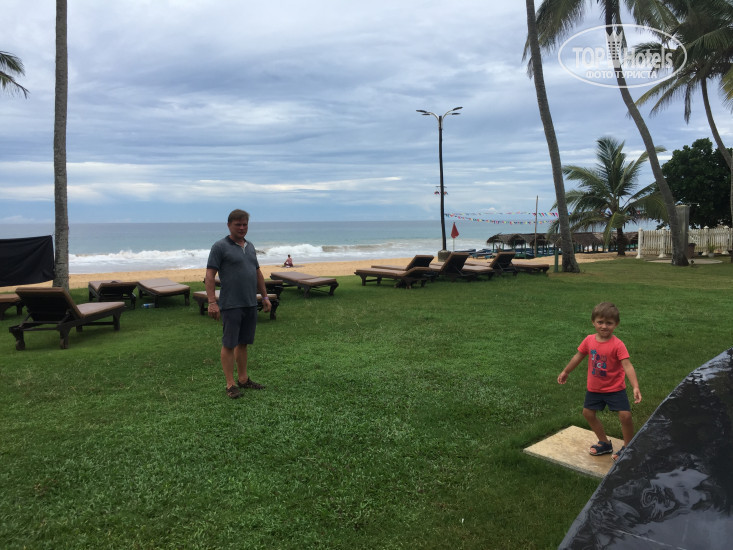 Новые добавленные фото туристов в The Avenra Beach Hotel