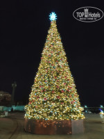 �������� �����