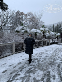 Green Park Yalta-Intourist 4* Пальмы Интуриста под снегом. Февраль 21г. - Фото отеля
