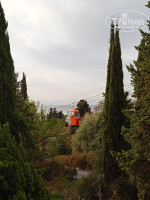 �������� �����