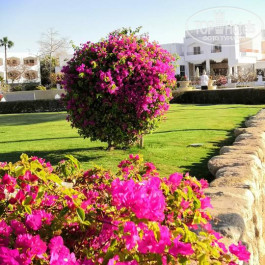 Baron Resort 5* - Фото отеля