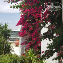 Bella Napa Bay (закрыт) территория отеля