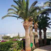 Bella Napa Bay (закрыт) территория отеля
