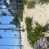 Iberostar Selection Bavaro Suites 5* - Фото отеля