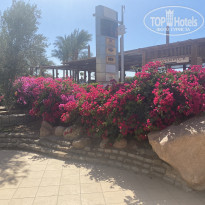 Naama Bay Promenade Beach Resort Managed By Accor 5* - Фото отеля