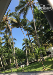 Riu Naiboa 4* - Фото отеля