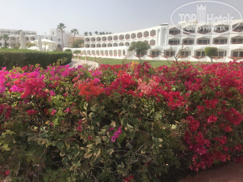Baron Resort 5* - Фото отеля
