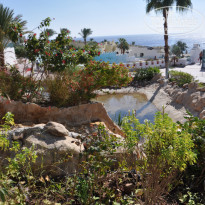 Dessole Royal Rojana Resort 5* - Фото отеля