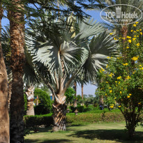 Dessole Royal Rojana Resort 5* - Фото отеля