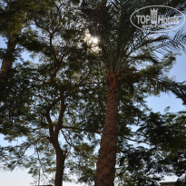 Dessole Royal Rojana Resort 5* - Фото отеля