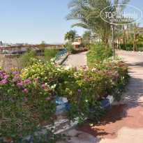 Dessole Royal Rojana Resort 5* - Фото отеля