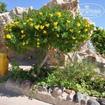 Dessole Royal Rojana Resort 5* - Фото отеля