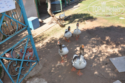 Dessole Royal Rojana Resort 5* - Фото отеля