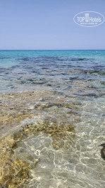 Constantinos The Great Beach Hotel 5* - Фото отеля