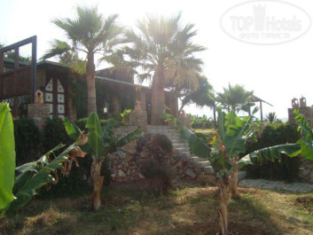 Green Paradise Beach Hotel 4* - Фото отеля