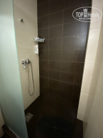 �������� �����