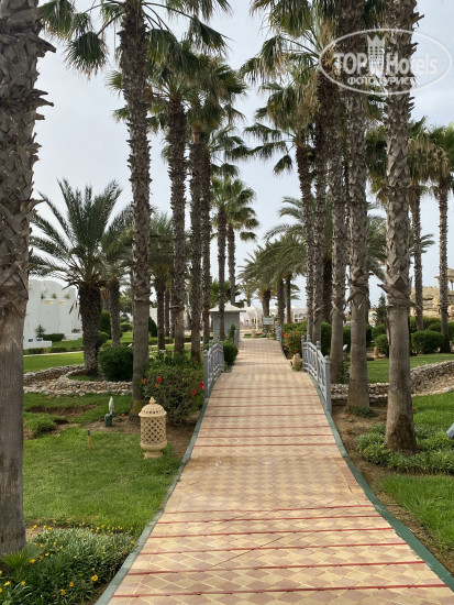 Steigenberger Marhaba Thalasso Hammamet 5* - Фото отеля