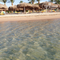 Caribbean World Soma Bay 5* - Фото отеля