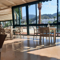 Pineta Club Hotel 4* - Фото отеля