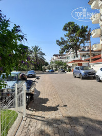 Pineta Club Hotel 4* - Фото отеля