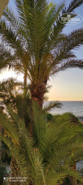 Marhaba Beach 4* - Фото отеля