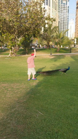 Le Royal Meridien Beach Resort & Spa 5* - Фото отеля