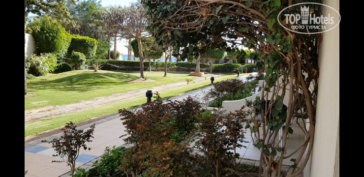 Naama Bay Promenade Resort Managed By Accor 5* Вид с террасы номера - Фото отеля