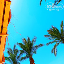 Caribbean World Soma Bay 5* - Фото отеля