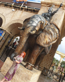 Diar Lemdina 4* - Фото отеля