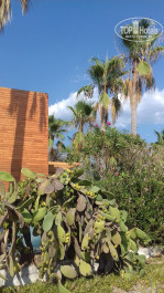 Green Paradise Beach Hotel 4* - Фото отеля
