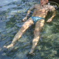 Liking Resort Sanya 4* Термальные источники Small Fish Hotspring; от этих просто кайф! - Фото отеля