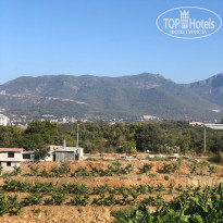 Fun Hill Resort Hotel 4* - Фото отеля