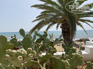 Novostar Bel Azur Thalassa & Bungalows 4* - Фото отеля
