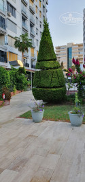 Antalya Adonis 5* красиво подстриженный кипарис - Фото отеля