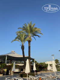 Zeynep Hotel 5* - Фото отеля