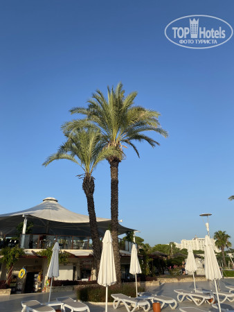 Zeynep Hotel 5* - Фото отеля